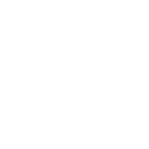 IMS - Analytics SaaS Servise